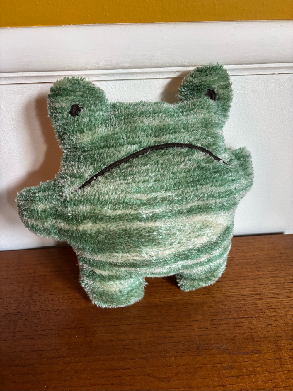Grumpy frog pillow urban outfitters